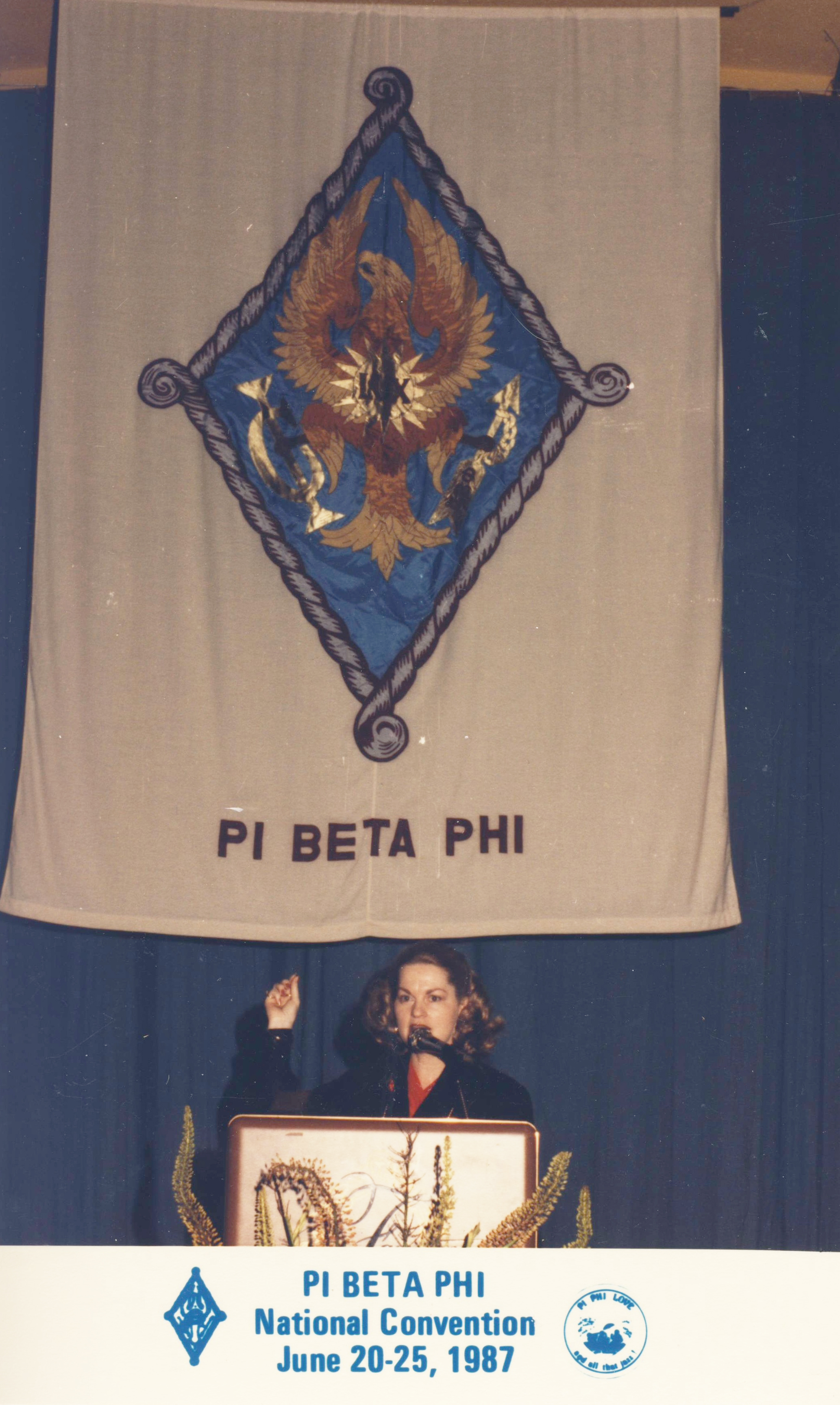 The Coat of Arms Banner 1983_Crest-banner-(1).jpg